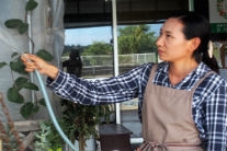 花のお店K 玉城樹奈